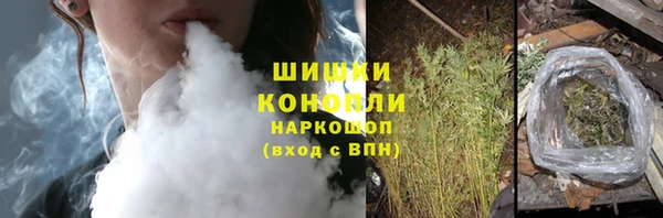 шишки Арсеньев
