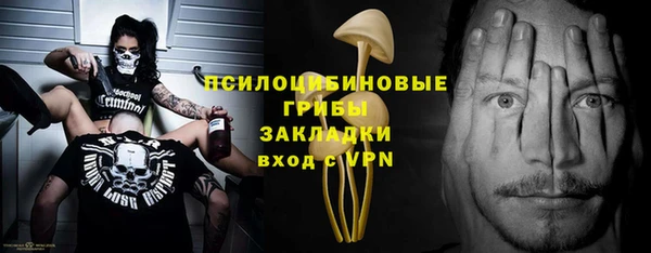 ГАЛЛЮЦИНОГЕННЫЕ ГРИБЫ Аркадак