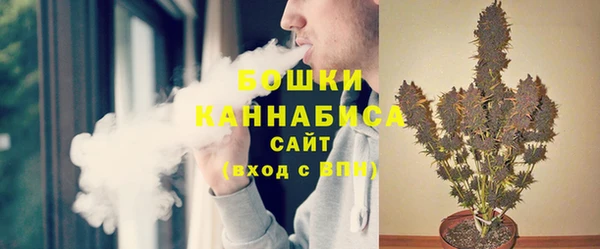 ГАЛЛЮЦИНОГЕННЫЕ ГРИБЫ Аркадак