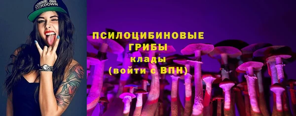 шишки Арсеньев