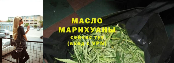 шишки Арсеньев