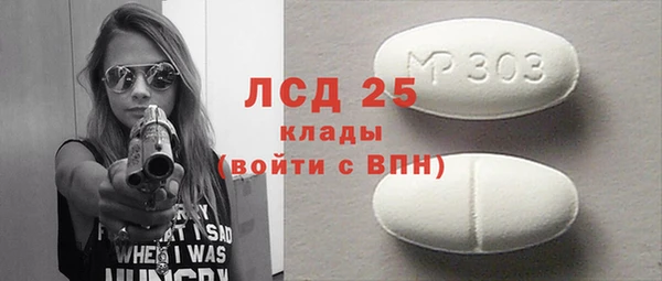 шишки Арсеньев