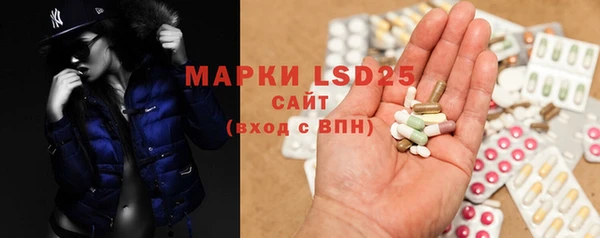 ГАЛЛЮЦИНОГЕННЫЕ ГРИБЫ Аркадак