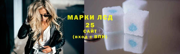 ГАЛЛЮЦИНОГЕННЫЕ ГРИБЫ Аркадак