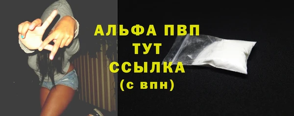шишки Арсеньев