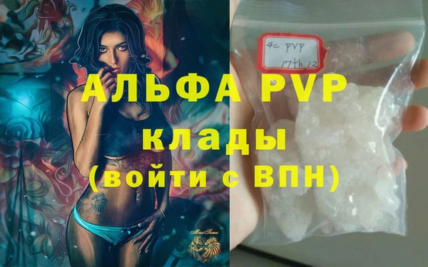 ГАЛЛЮЦИНОГЕННЫЕ ГРИБЫ Аркадак