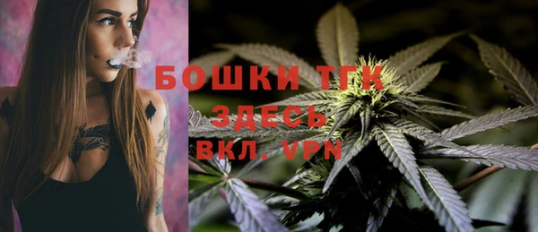 ГАЛЛЮЦИНОГЕННЫЕ ГРИБЫ Аркадак